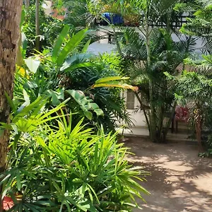 https://sangeeth-beach-resort.kerala-hotels.net